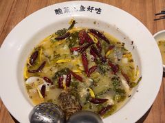 -新太二·鲜料川菜(智慧城广百店)
