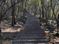 -紫金山山顶公园