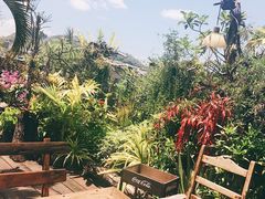 -自然餐厅(Phuket)