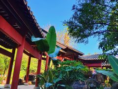 -顺峰山公园