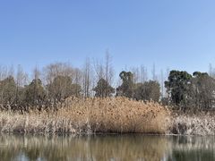 -养云安缦吧THE BAR