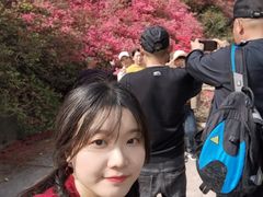 -木兰云雾山