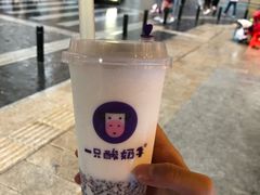 -一只酸奶牛(八一路店)