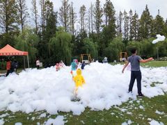 -前小桔亲子创意农场·草莓采摘·露营烧烤