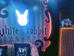 -白兔子密室(长寿路店)