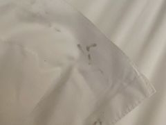 客房枕头-苏州香山国际大酒店