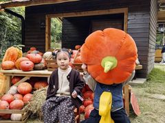 -HERRE·FARM 赫尔露营农场·团建聚会包场