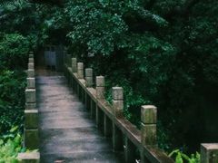 -广州兰圃