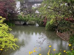 -得丘礼享谷·玉兰苑