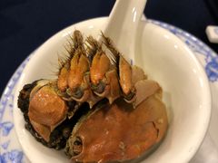 -老吉士酒家(天平路店)