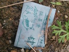 -阿信糖水(体育花园店)