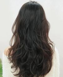 -木北造型