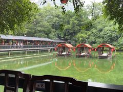 -侨美·唐荔园·40年地道粤菜