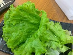 生菜-呷哺呷哺(哈尔滨红博购物广场店)