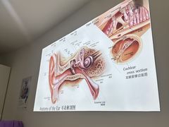 -自然之声助听器·呼吸机(康桥旗舰店)