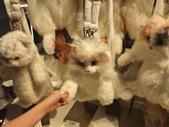 -万达广场(菏泽牡丹店)