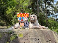 -长沙黑麋峰国家森林公园