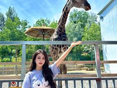 -水上乐园·欢乐世界