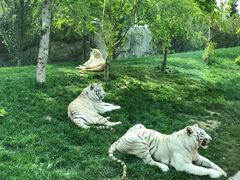 -北京野生动物园