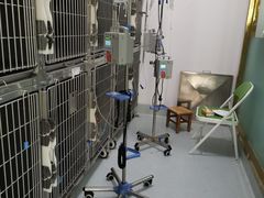 -汪喵宠物医院·骨科心脏影像·犬猫急重症ICU诊疗中心(成华分院)