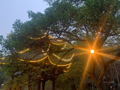 -峨眉山报国寺