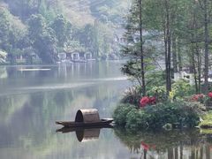 -重庆彩云湖湿地公园