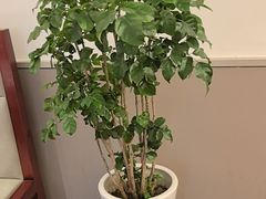 -有位虾匠·香辣蟹·小龙虾(李村店)