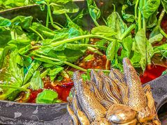 -蜀大侠火锅(总府路店)