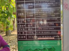-南丹山森林王国