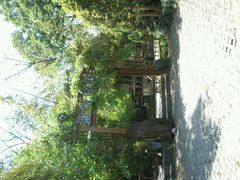 android_upload_pic-旅马餐厅(茅家埠店)