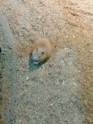 -酷嗒动物文化乐园(cutezoo西溪乐天城店)