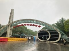 -南山植物园