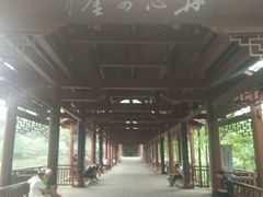 -重庆彩云湖湿地公园