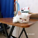 一不小心就长大了