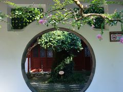 -上海醉白池公园