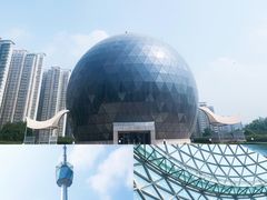 -陕西自然博物馆