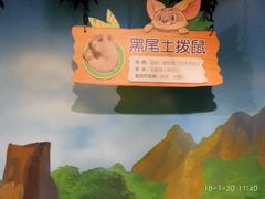 -萌宠奇缘