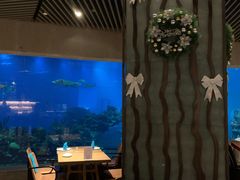-海棠湾洲际-涛·海底餐厅·美人鱼·自助餐·海底隧道