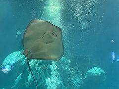 -福州罗源湾海洋世界旅游区