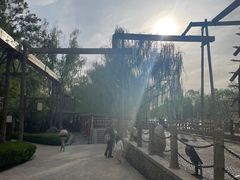 -水车博览园