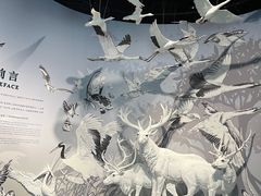 -中国湿地博物馆