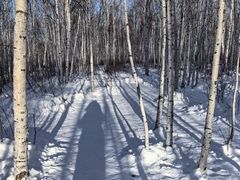 -北极村旅游风景区