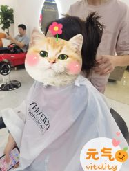 -松源造型