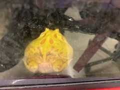 -钓仓鼠(洋桥北里小区店)
