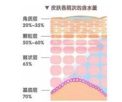 -Oasis Beauty水磨坊科技美肤中心