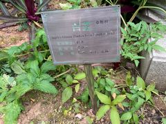 -广州神农草堂中医药博物馆