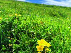 -芦芽山旅游度假区