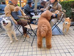 -Alimentari早午餐(安福路店)