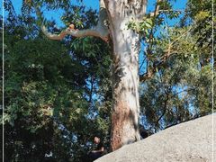 -火炉山森林公园