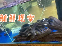 滋补炭烤鳗鱼-本炙炭烤·蒲烧活鳗料理店(金沙洲店)